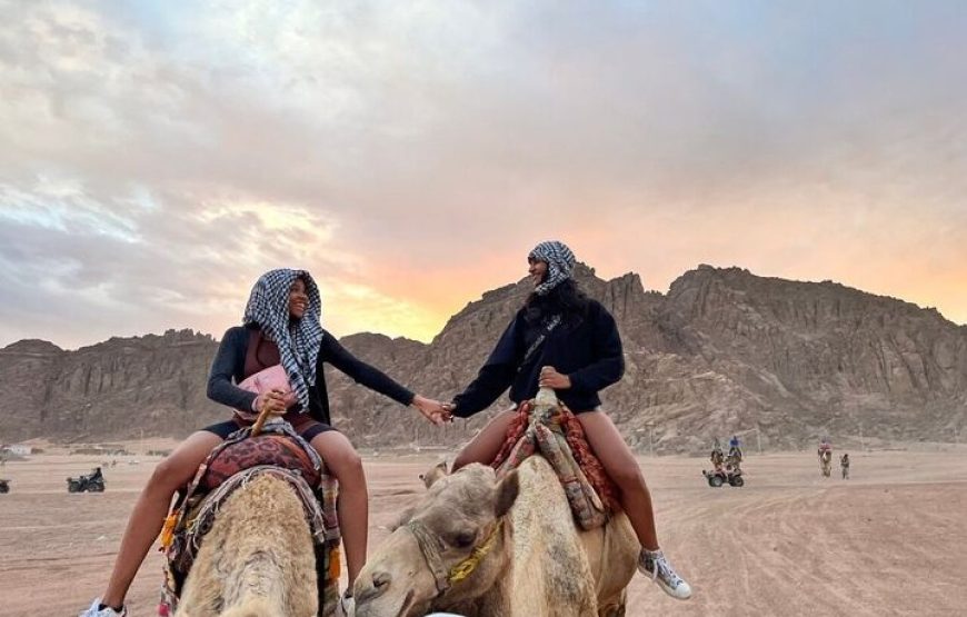Hurghada: Quad, Jeep, Camel and Buggy Safari with BBQ Dinner