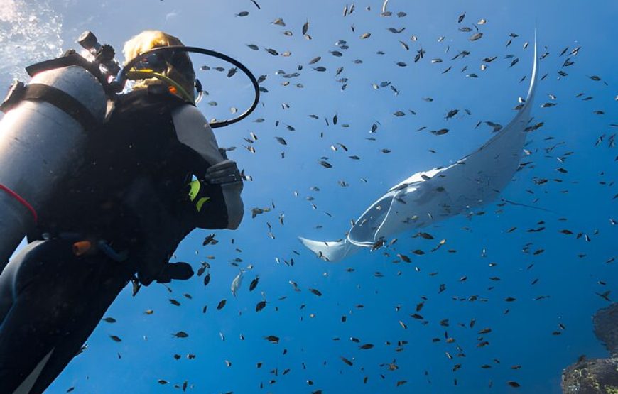 Intro Diving for Beginners 2 Stops Diving with Lunch – Hurghada