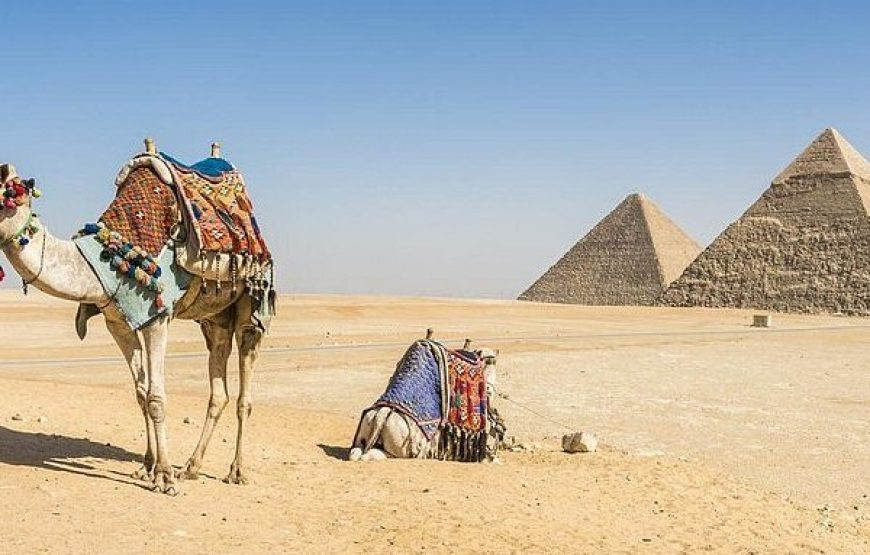 Cairo By Big Bus full day From Hurghada (Pyramids-sphinx-Egyptian Museum-Lunch)