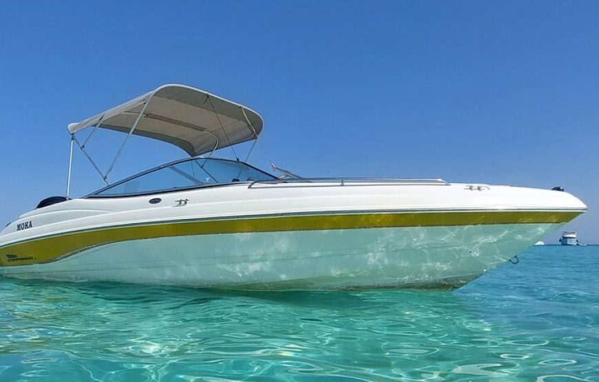 PRIVATE! | 4-hour Speed Boat Trip | Swim With Dolphins, Snorkeling & Island