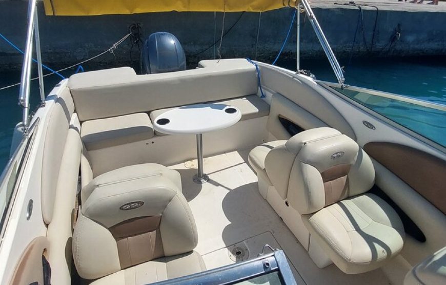 PRIVATE! | 4-hour Speed Boat Trip | Swim With Dolphins, Snorkeling & Island