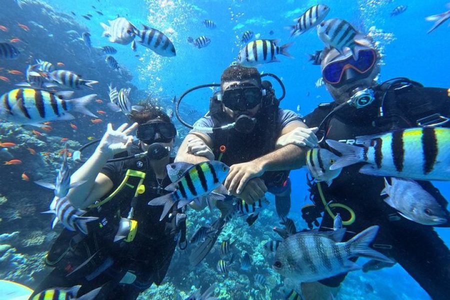 Hurghada Diving Adventure one Day with two Dives Boat Trip