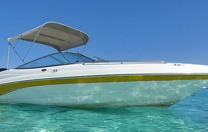 Private Speedboat Dolphin Watching & Snorkeling in Hurghada