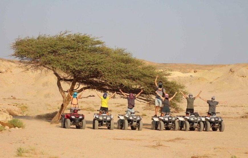 Hurghada: Quad, Jeep, Camel and Buggy Safari with BBQ Dinner