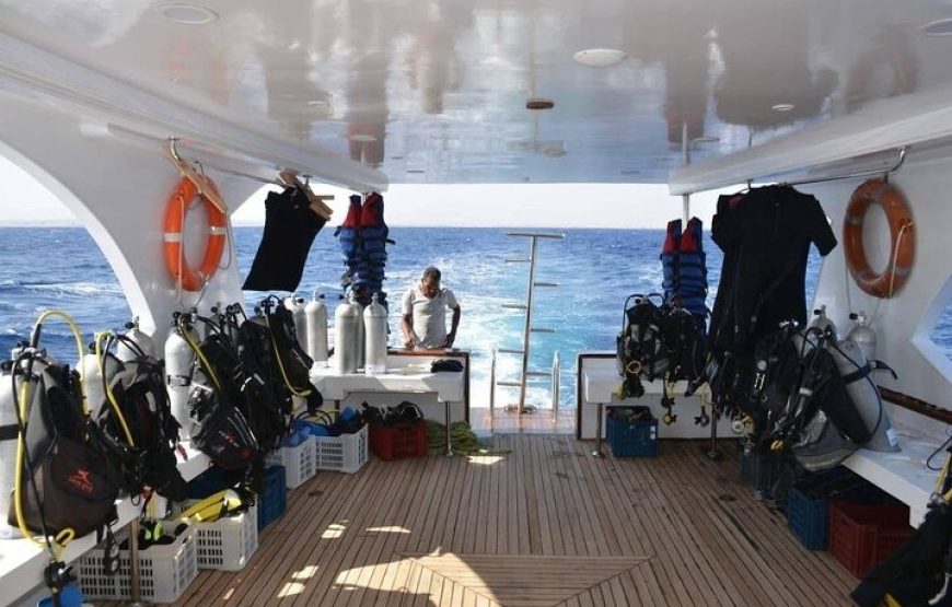 Intro Diving for Beginners 2 Stops Diving with Lunch – Hurghada