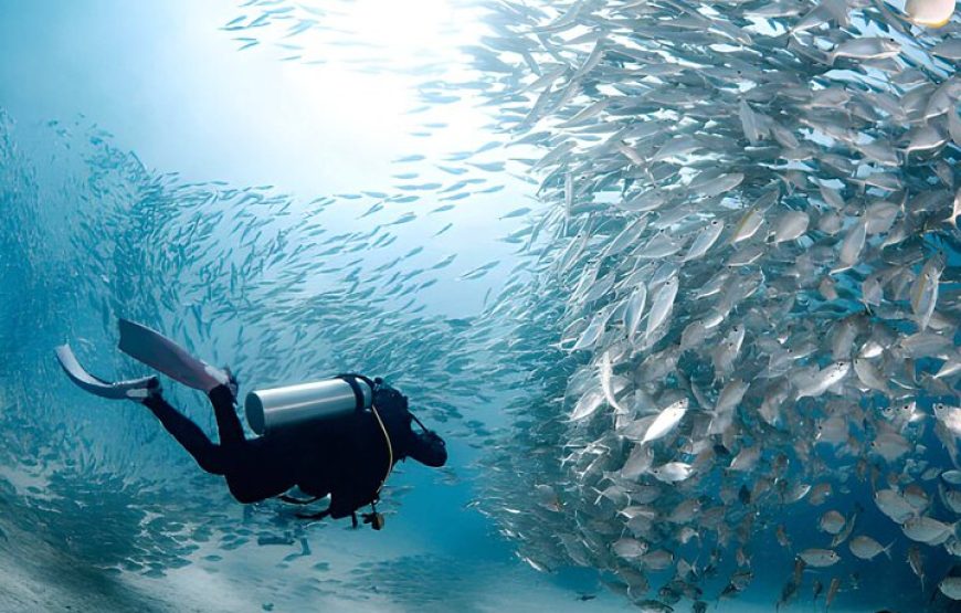 Intro Diving for Beginners 2 Stops Diving with Lunch – Hurghada