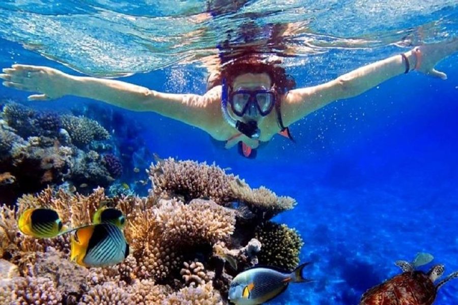Full-Day Utopia Island Snorkeling Tour from Hurghada by Boat