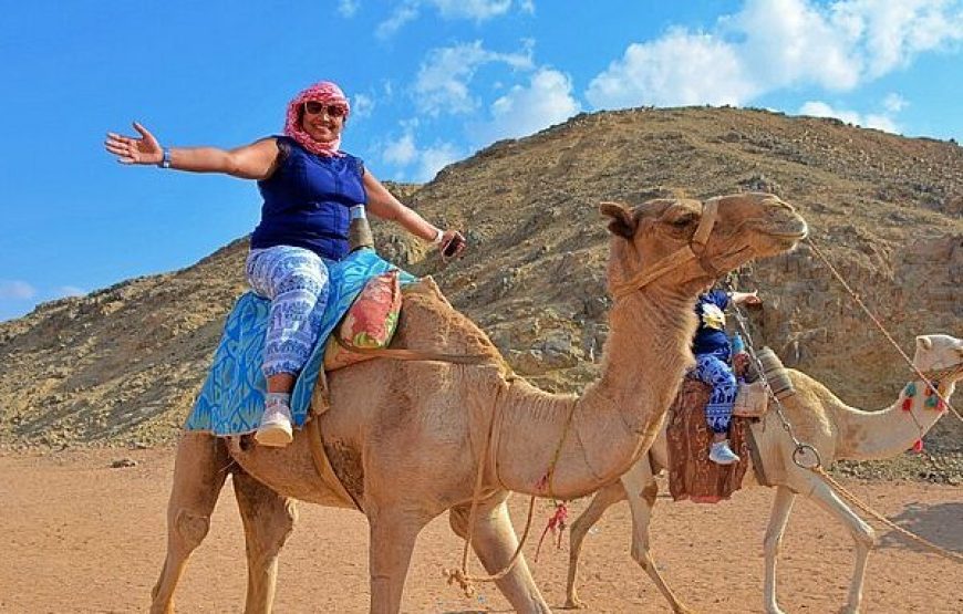 Desert Safari Experience, ATV Quad, Camel Ride & Dinner Hurghada