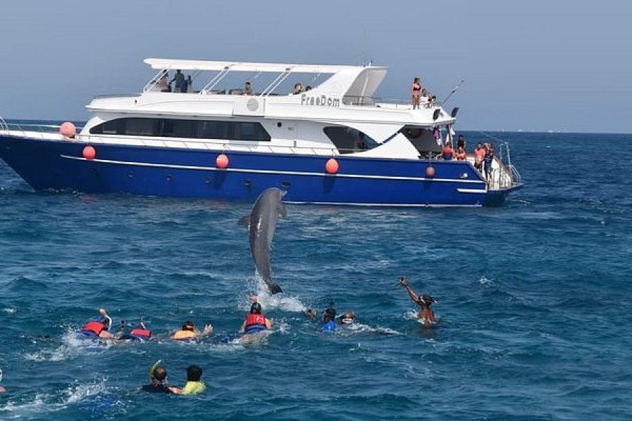 Private Speedboat Dolphin Watching & Snorkeling in Hurghada