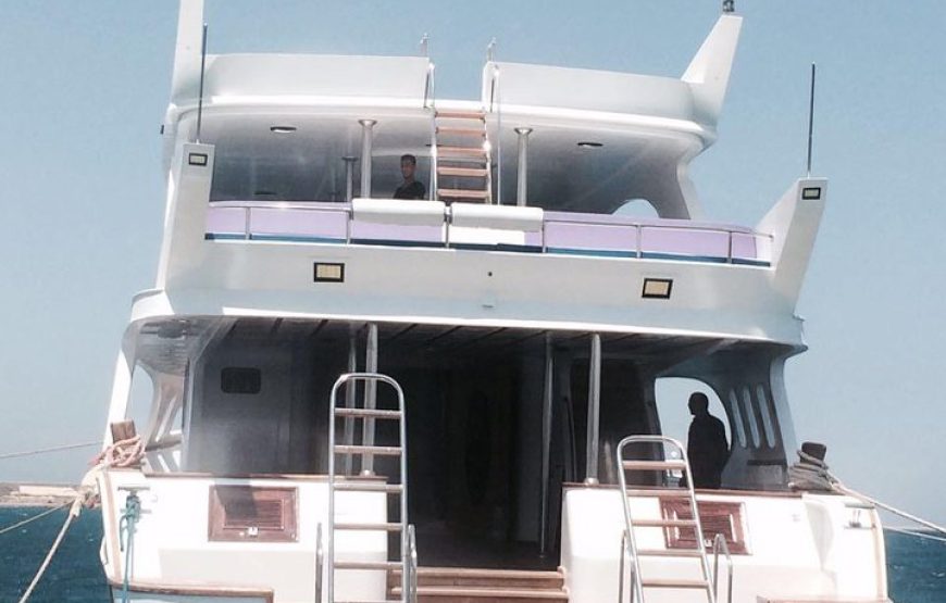 Excursion to Paradise Island Hula Hula from Hurghada