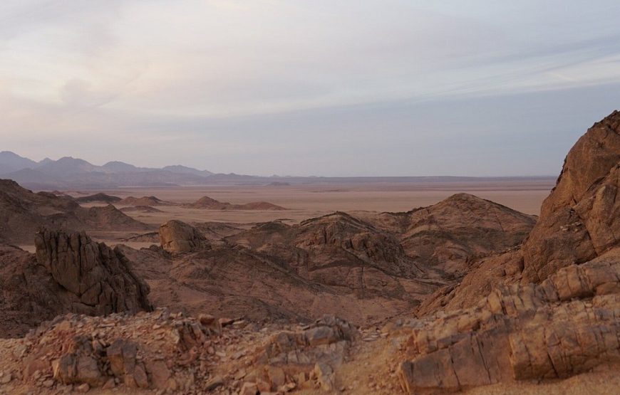 Hurghada: Quad, Jeep, Camel and Buggy Safari with BBQ Dinner