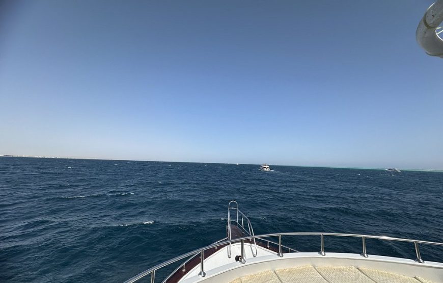 Dolphin house VIP trip in hurghada with snorkeling lunch