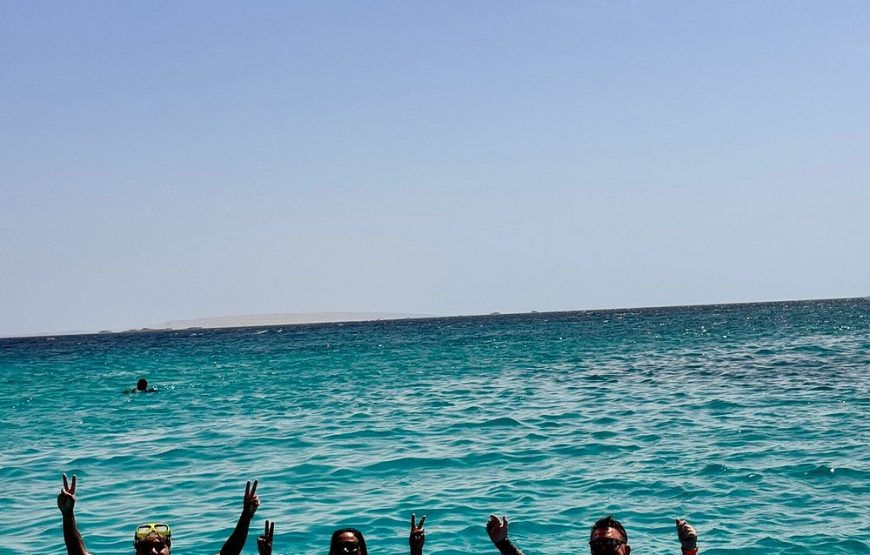 Dolphin house VIP trip in hurghada with snorkeling lunch