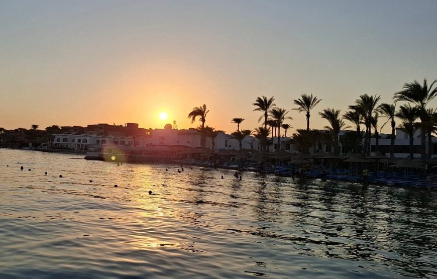 Dolphin house VIP trip in hurghada with snorkeling lunch