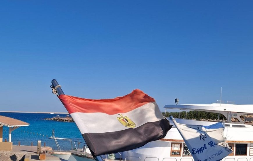 Dolphin house VIP trip in hurghada with snorkeling lunch