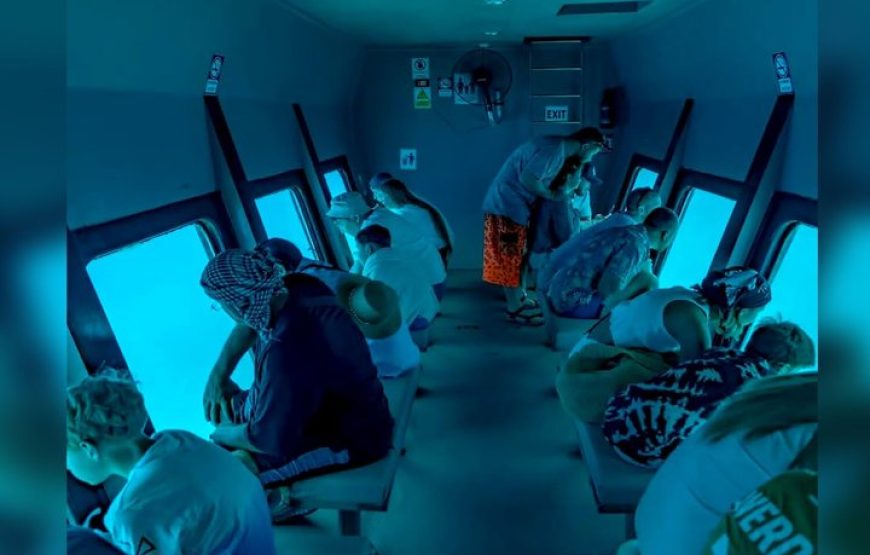 Semi-Submarine 2-hours Snorkeling with Transfer from Hurghada