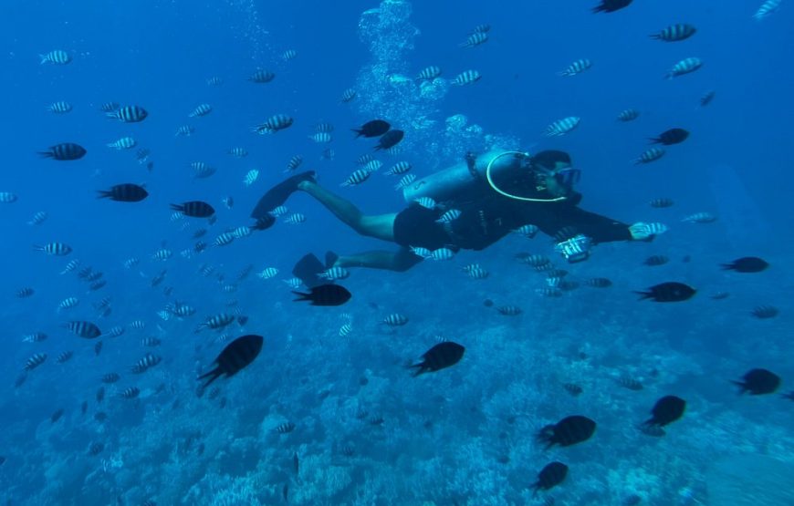 Semi-Submarine 2-hours Snorkeling with Transfer from Hurghada