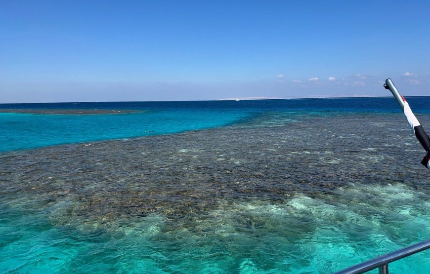 Dolphin House By Private Speed Boat & Drinks & Transfer-Hurghada