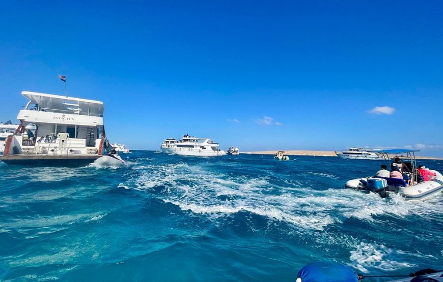 Speed Boat Trip 4-Hours to White Island and Dolphin House