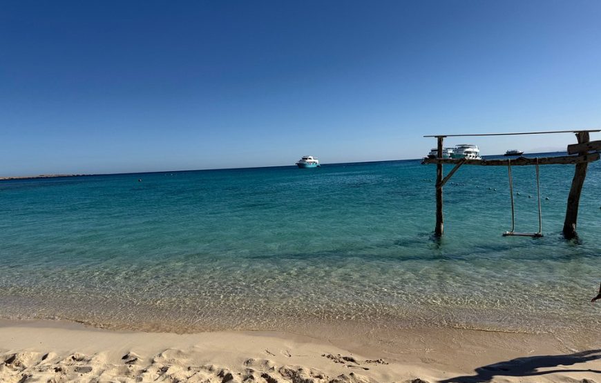 PRIVATE! | 4-hour Speed Boat Trip | Swim With Dolphins, Snorkeling & Island