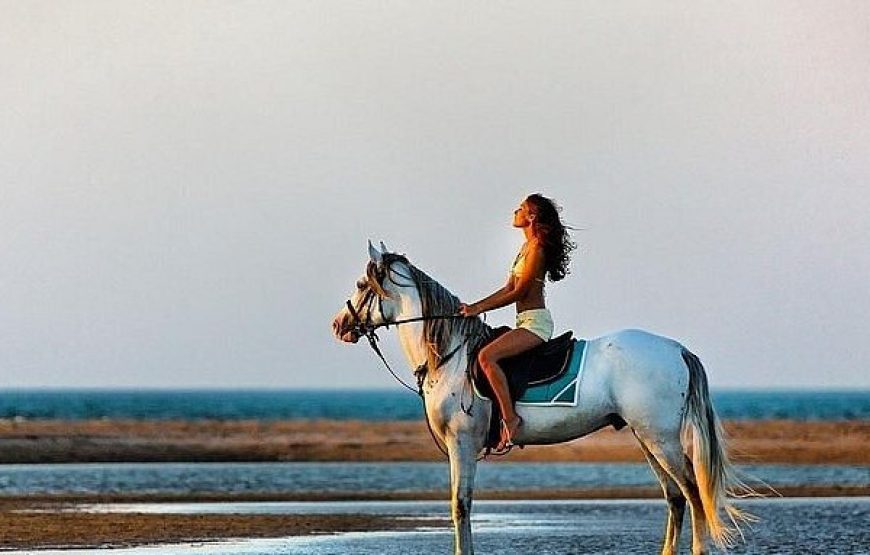 Desert Safari Experience, ATV Quad, Camel Ride & Dinner Hurghada